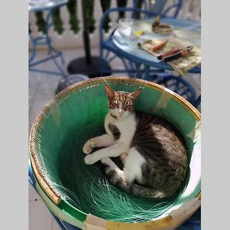 Gemuetliches Im Herzen Von شقة *