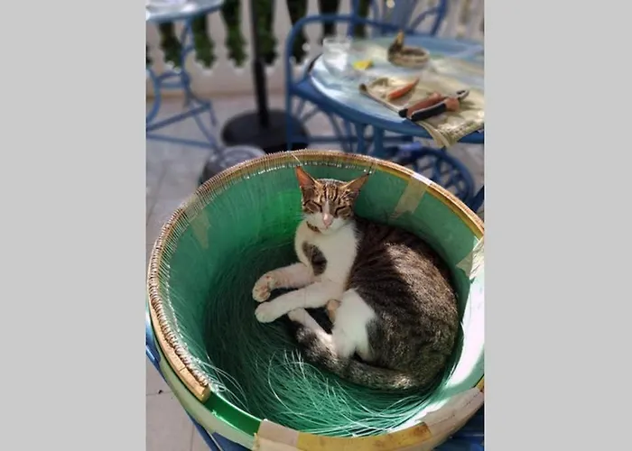 Gemuetliches Im Herzen Von Apartamento *